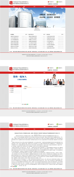 河南中勤皓然企业管理咨询有限公司 网站设计-郑州燚轩软件科技有限公司 -猪八戒网